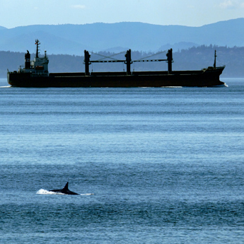 Oil Spill Prevention